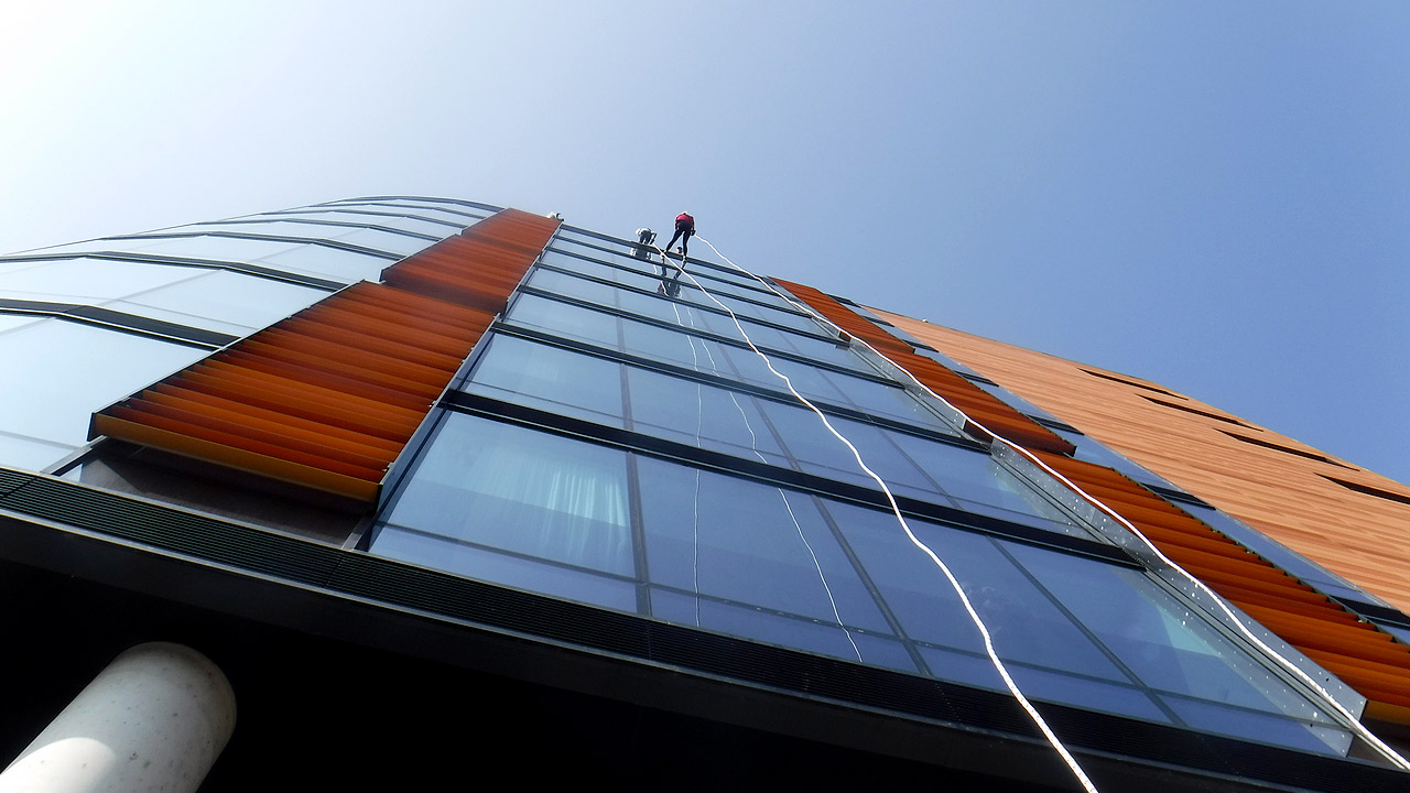 abseil charity