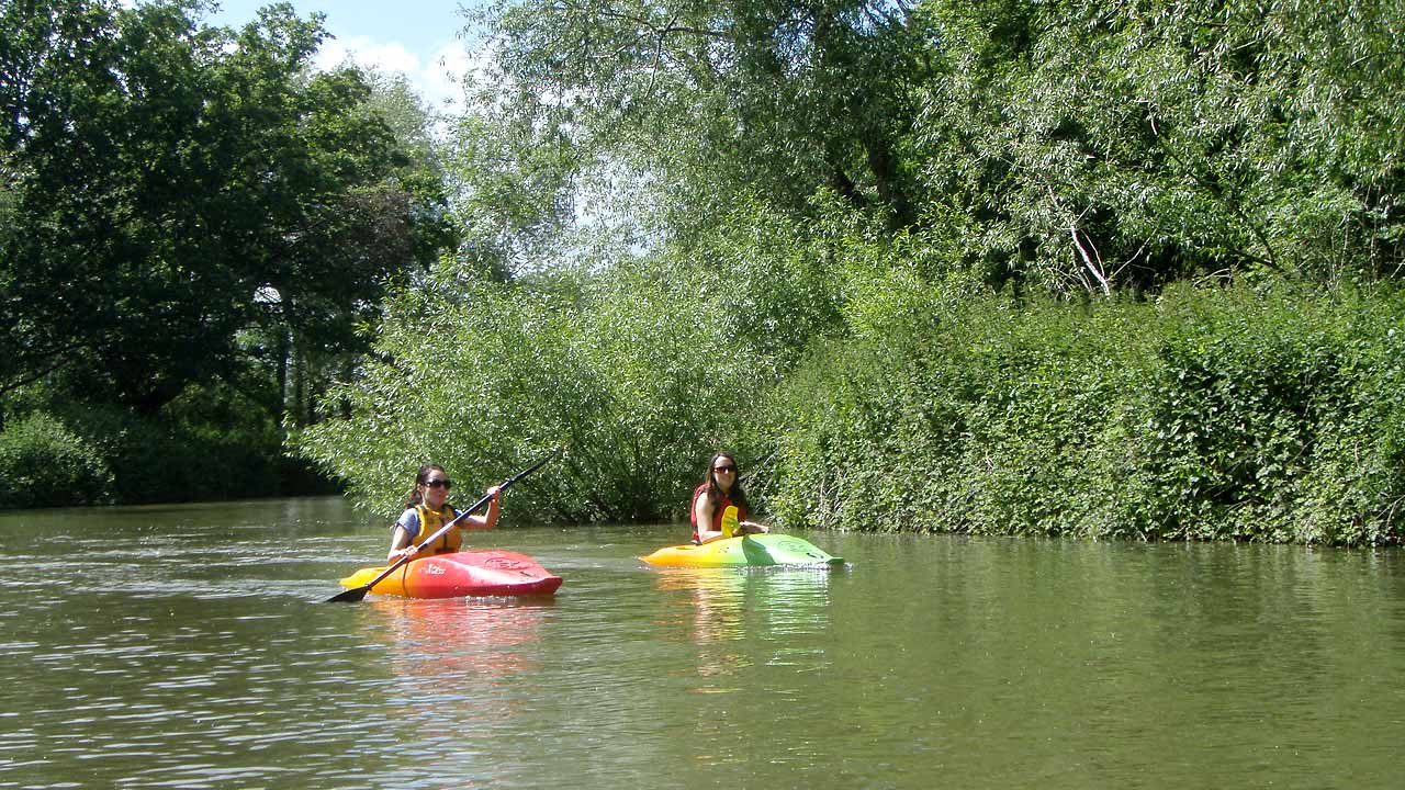 River Medway (Yalding)